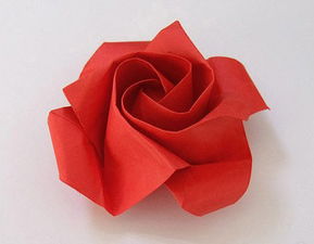 怎么做玫瑰花折纸,手工折纸：玫瑰花的折法？