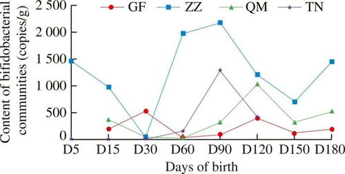 FSHW 生命早期婴儿肠道双歧杆菌的发育轨迹和时间动态呈现复杂性