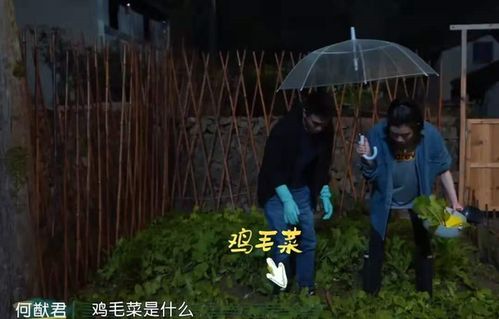 直男司机紫色巨龙1 拔萝卜全文免费阅读