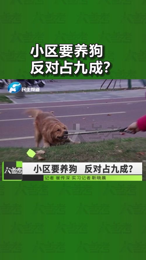 河南郑州 为防狗伤人,整个小区禁止养犬 看看政策怎么说 