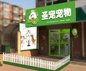 为什么不建议开宠物店(宠物店不能开在什么地方)