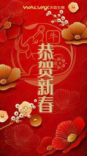 祝福沃森公司的领导和同事们新年快乐 祝福沃粉们2021年发大财 预祝沃森港股上市