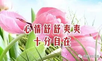 今天是4月11日 4月最一心一意的好日子 快打开看看 祝您心想事成,万事如意