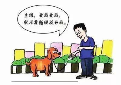 物业文明养犬温馨提示