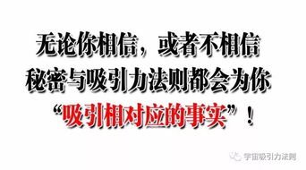 什么是吸引力法则呀？都包括什么课程呀？怎么去实现呢。要怎么做？