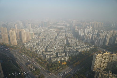 杭州是LV专卖店最多的 新一线城市 ,游客 浙江有钱人果然多