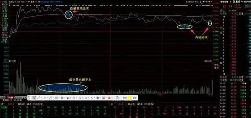 如何做股票T+0，请高手指教？谁知道啊？