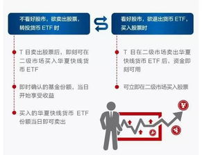 场内交易型货币基金 怎么购买？怎么套利？