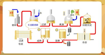 啤酒的酿制过程 