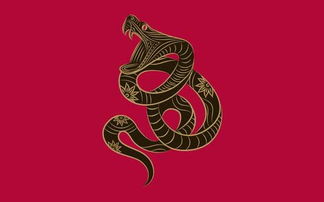 属蛇的摩羯座的伴侣，属蛇的摩羯座的伴侣是谁