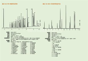 飞诺美气相色谱柱厂家 揭阳飞诺美气相色谱柱 联方实验装置 