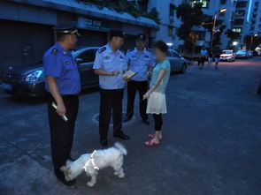持续到年底,广州警方重拳出击整治不文明养犬行为,附 举报投诉电话