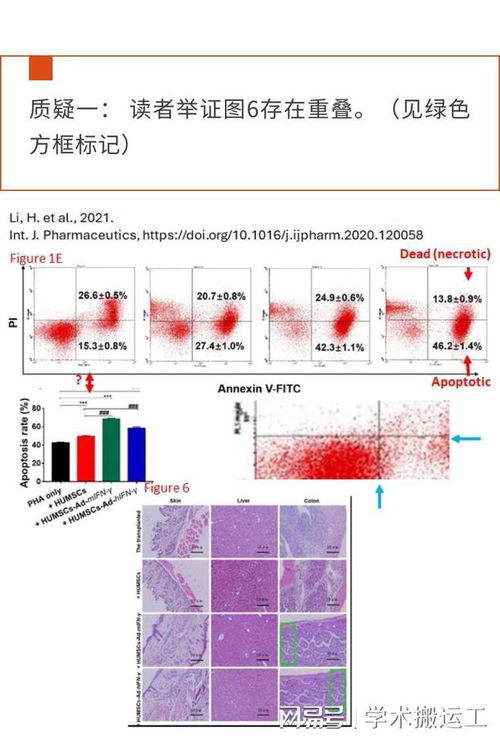 南京查重哪里专业？这里给您答案