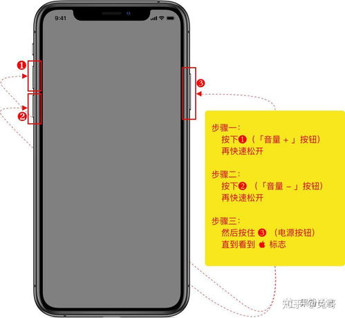 iPhone iPad 黑屏或死机后, 强制重启 的方法及步骤 