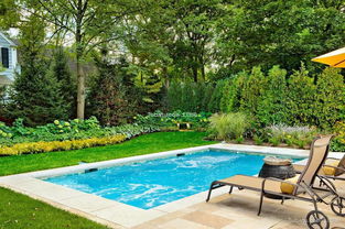 庭院游泳池设计 