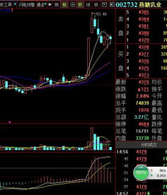 怎样从几千股票中，选出上涨股？