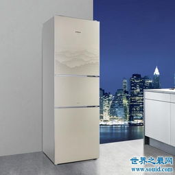 冰箱排名前十名 2. Samsung RF28R7551SR