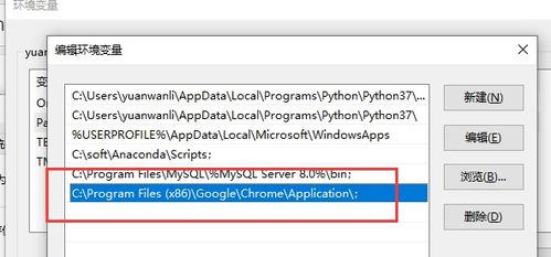 日常bug WebDriverException chromedriver executable needs to be in PATH解决