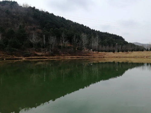 请您欣赏自然风光 愿山水 花草带给您快乐和灵感