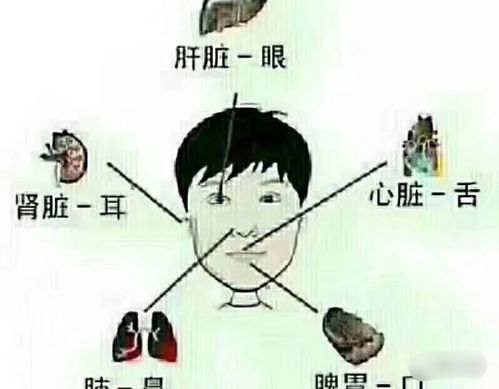 人的五脏好不好,看看五官便知道