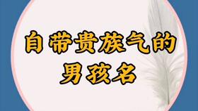 有大将之风的男孩名 2020年鼠宝宝男孩宝宝名字库 宝宝起名 国学起名