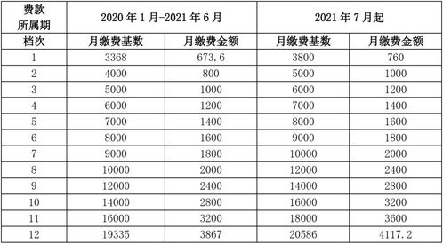 灵活就业养老保险缴费费率,山东灵活就业缴费标准