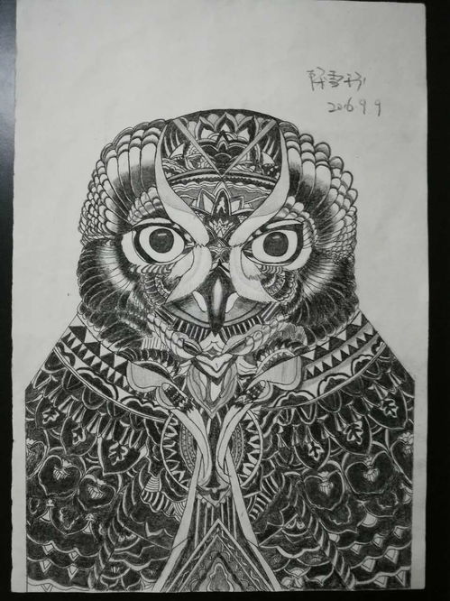 素描猫头鹰