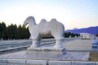 北京陵园风水(北京风水好的陵园)