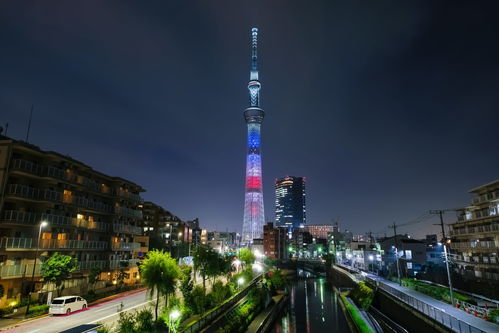 东莞晚上好玩的地方推荐 (东莞周边晚上有什么好玩的地方推荐)