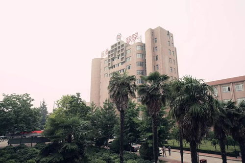 杨凌有什么大学有什么学院