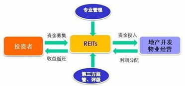 加速分片设计落地_reits加速在我国落地