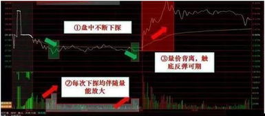 谁知道指着股票叫什么？