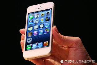 如何在iPhone上复制粘贴文件和图片,很多人恐怕真不知道 