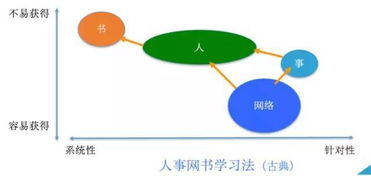 高效查重：精细化操作与策略优化