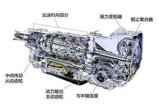 at变速箱为什么不建议买(at变速箱好为什么不用)