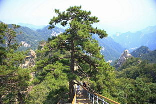 2018年11月10日河南鲁山县尧山 石人山 自由行一日游,踏雪徒步登玉皇顶 