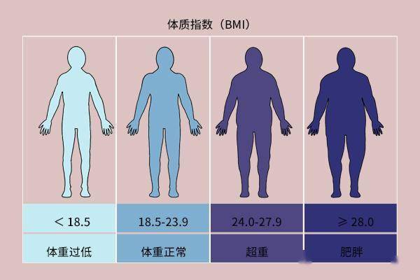 体重和寿命的关系已知晓,怎样体重的人更易长寿