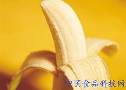 吃香蕉能减肥吗(每天早上空腹吃香蕉能减肥吗)