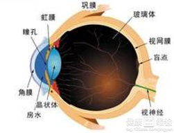 白内障患者吃什么比较好