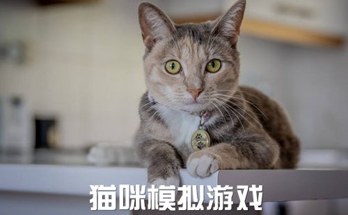 关于猫咪的游戏 猫咪模拟器游戏下载 模拟猫的游戏大全 