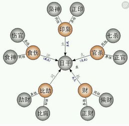 八字自学 第十一章 比肩和劫财的详细论述