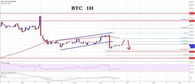 比特币资讯最新今日—btc美元行情最新价格