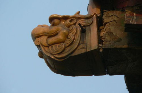 守护中国古建筑的神兽军团 你都认识吗