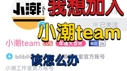 如何加入小潮team