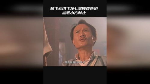 杨飞云用飞龙七星阵改命格,被毛小方制止