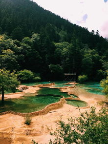 这个夏天就应该到四川清爽一夏 四川旅游实用攻略