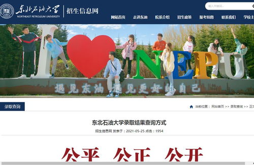 自考东北石油大学,东北石油大学自考如何选择报考课程及流程？(图3)