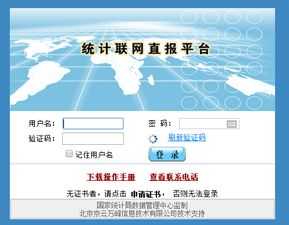 win10系统如何登统计联网直报平台