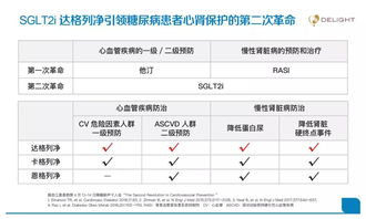 降糖方案模板(降糖方案模板ppt)