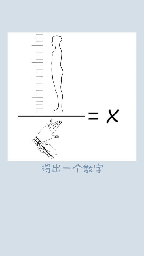 大骨架小骨架判断冷知识(大骨架小骨架对比图)